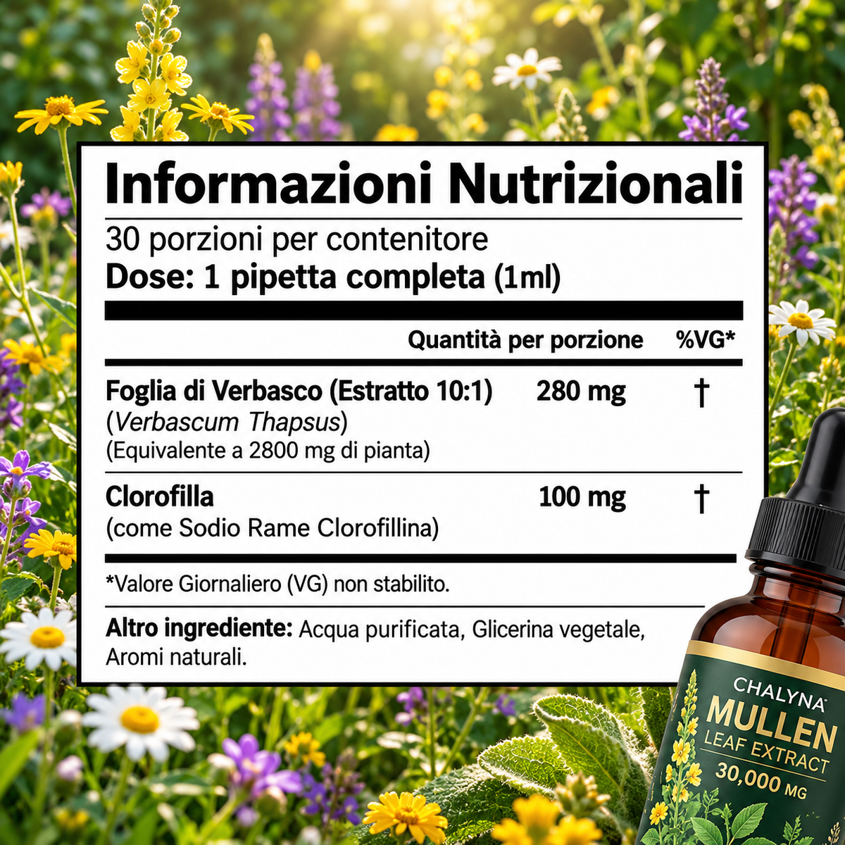 Chalyna - Ritrova il tuo respiro